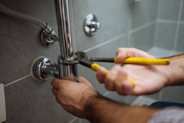 Best Residential Plumbing Services  in Palm Shores, FL
